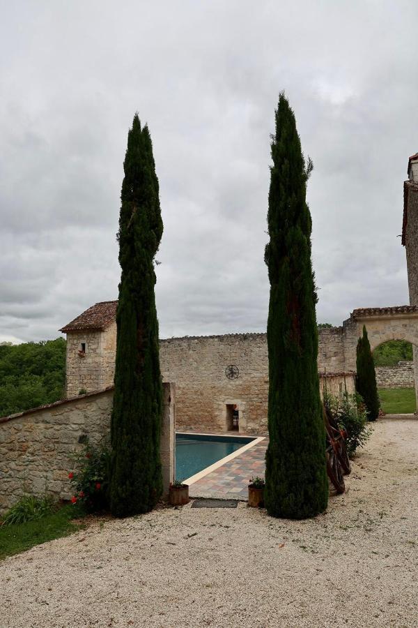 Chateau De Pleneselve Bon-Encontre Exterior photo