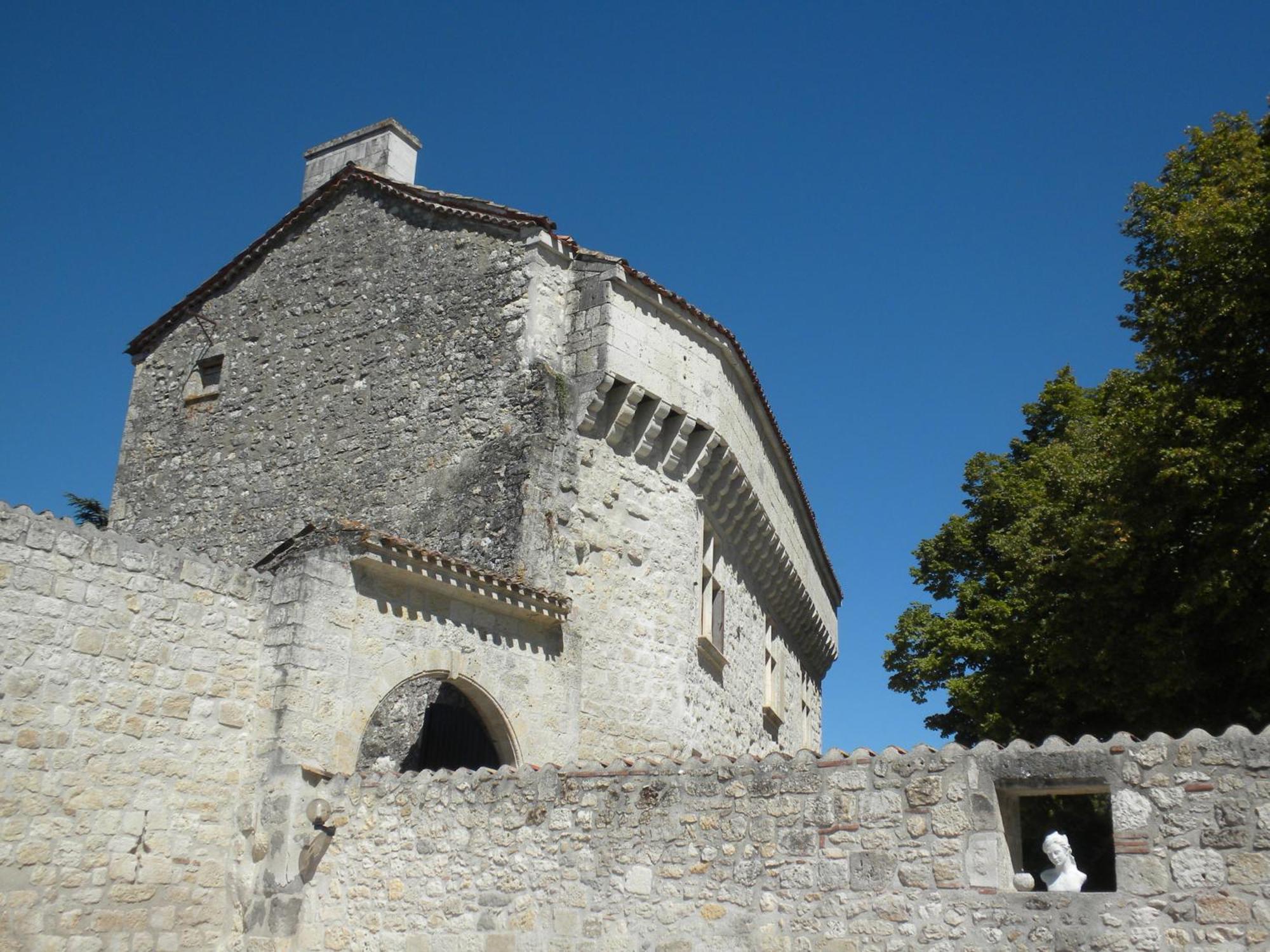 Chateau De Pleneselve Bon-Encontre Exterior photo